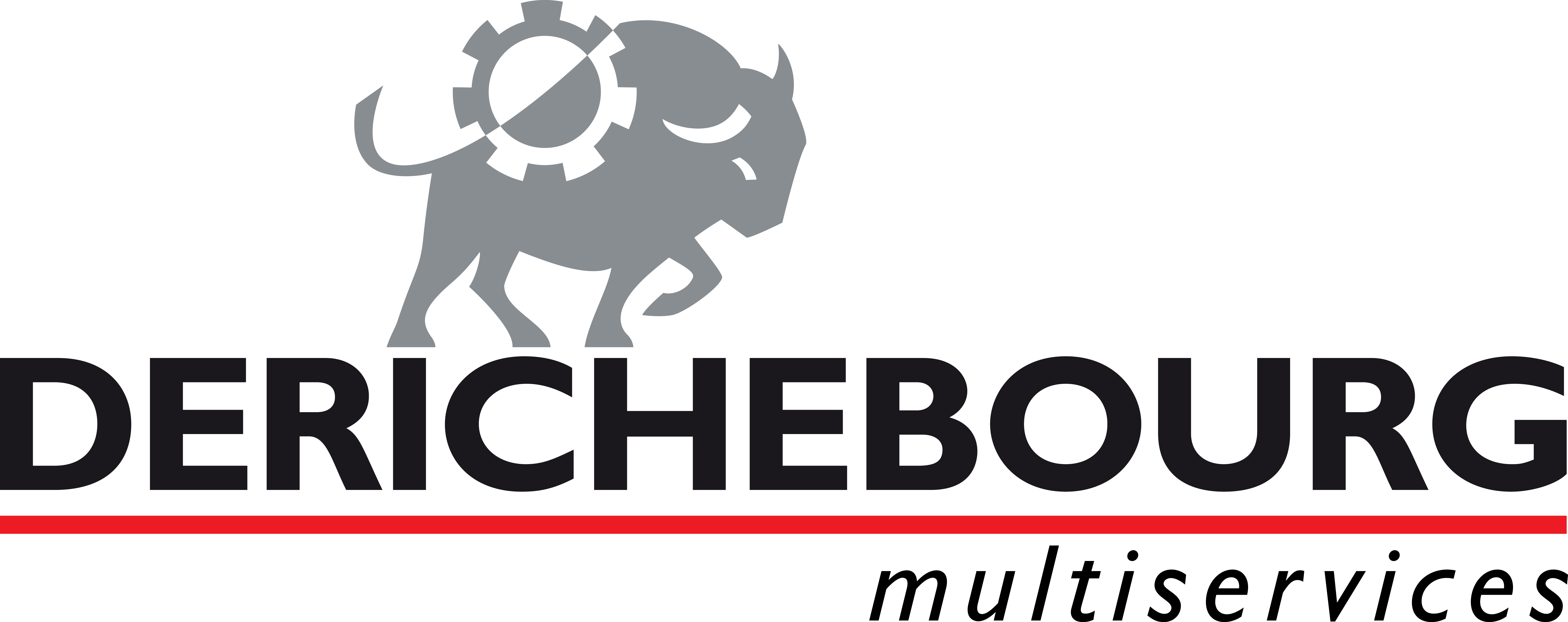 Derichebourg